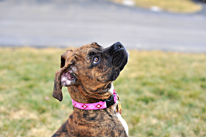 blog9 Daisy Girl!